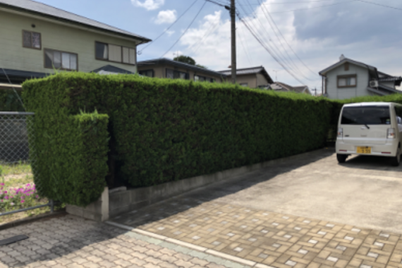 フェンス①